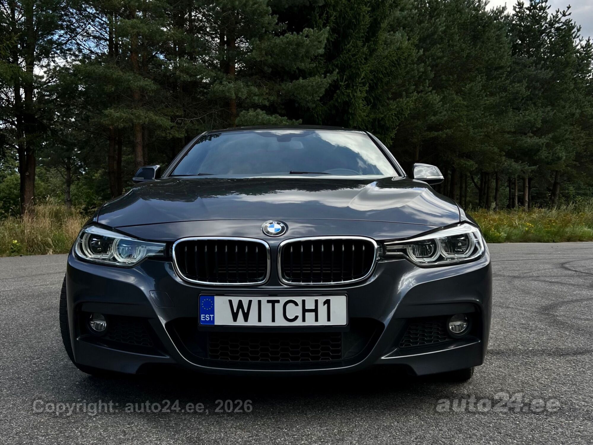 BMW 3-sarja 2016, photo 3/10
