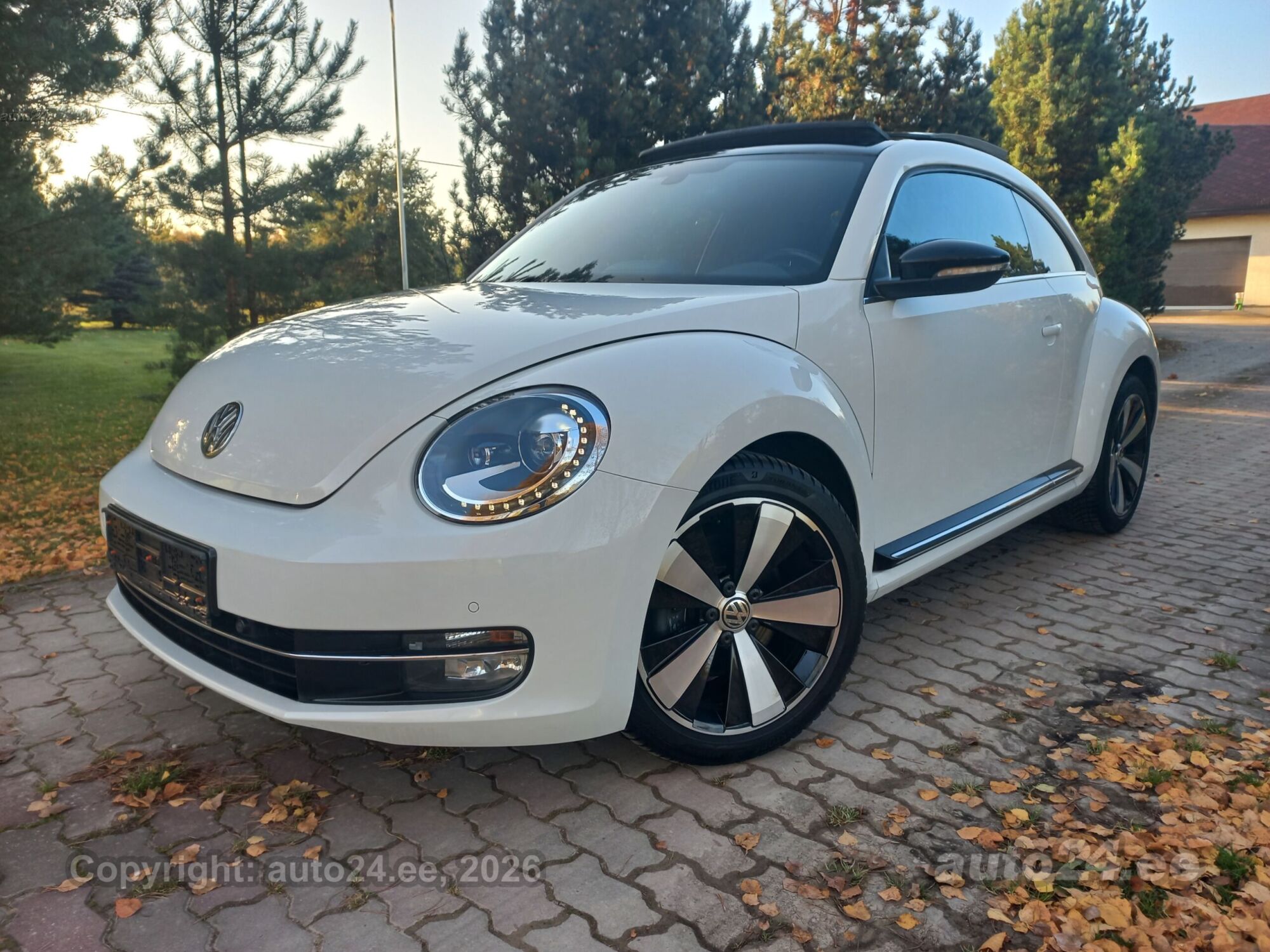 Volkswagen Beetle