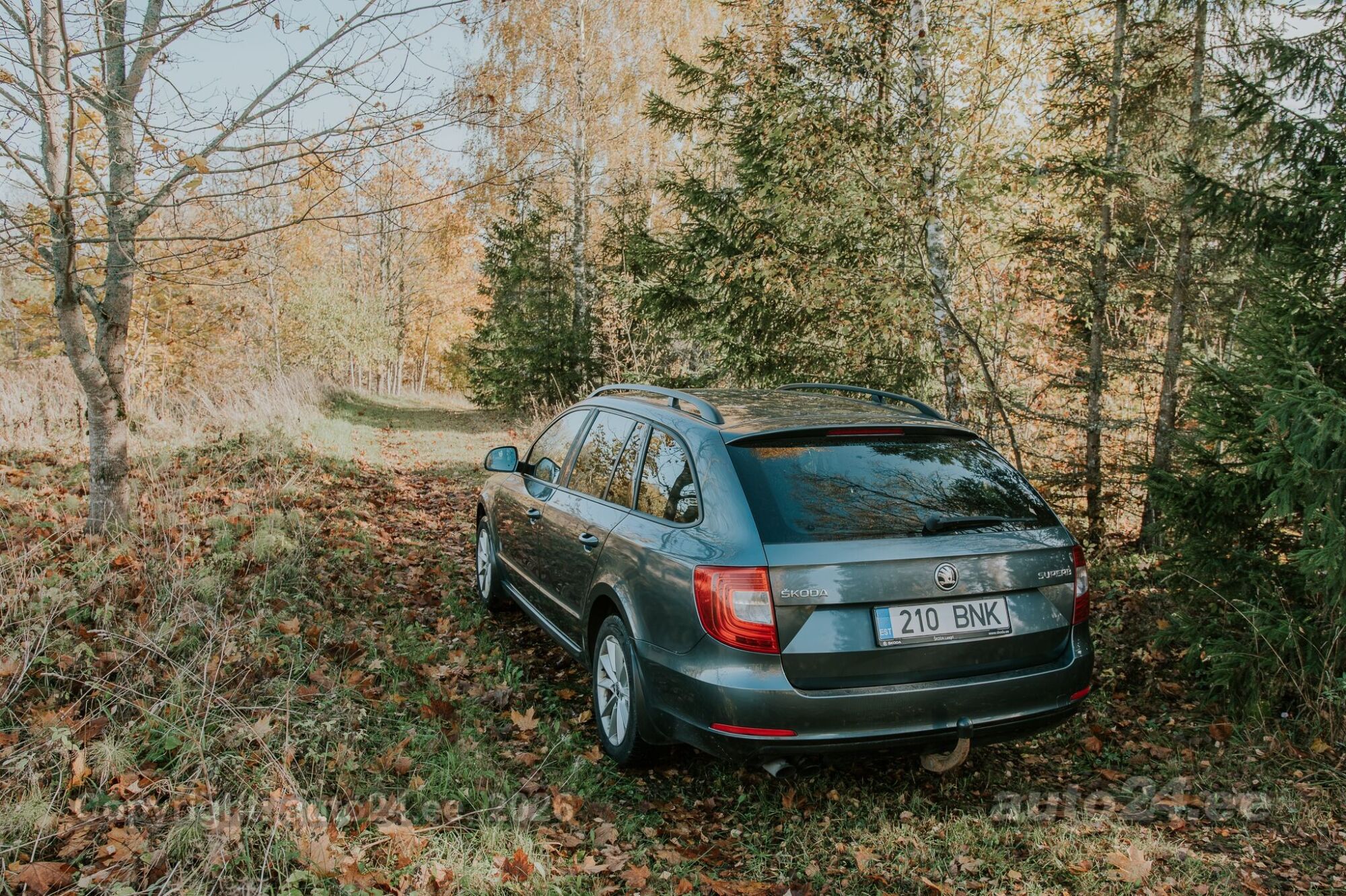 Skoda Superb 2015 — photo 5