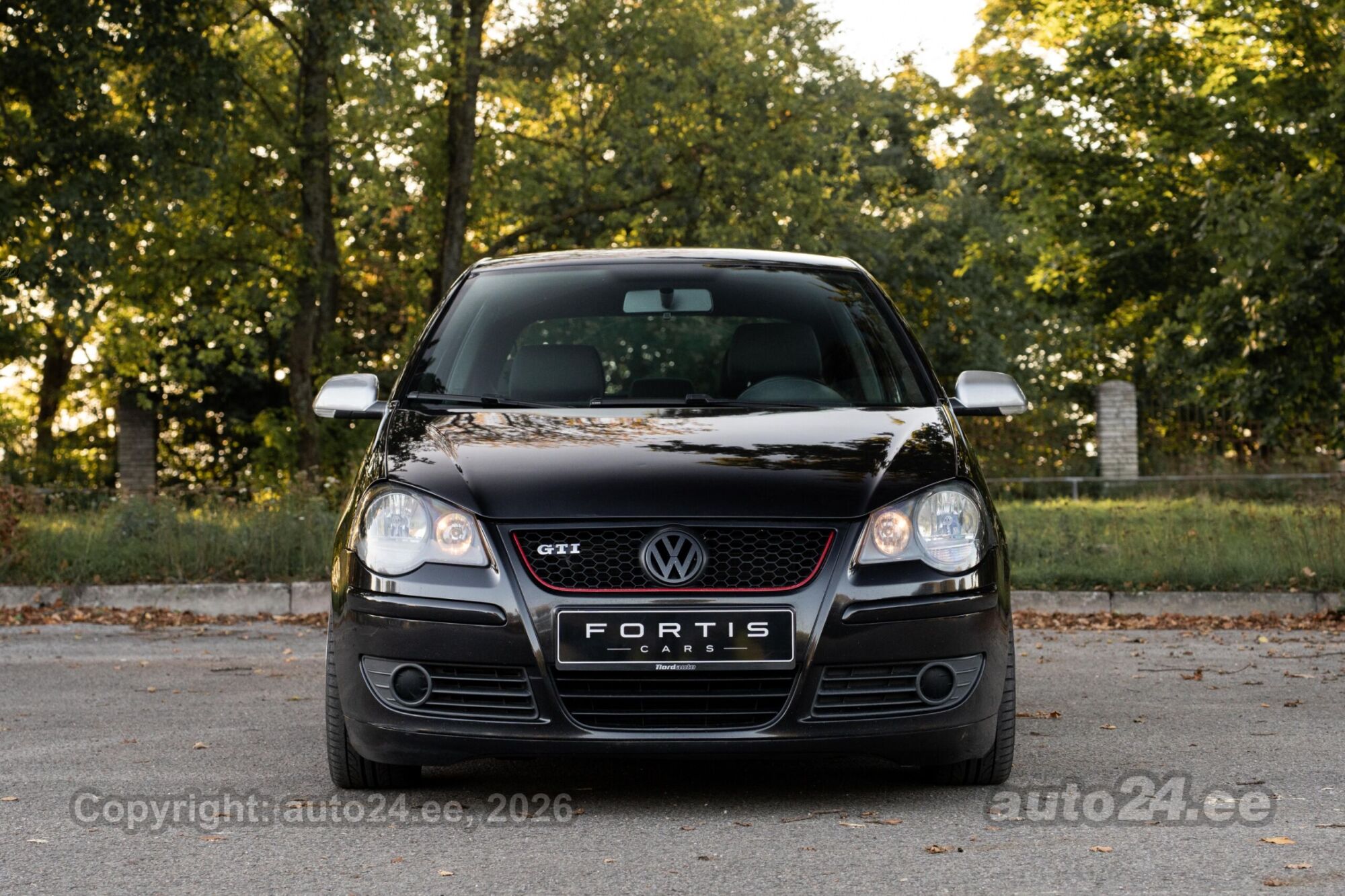 Volkswagen Polo - 8