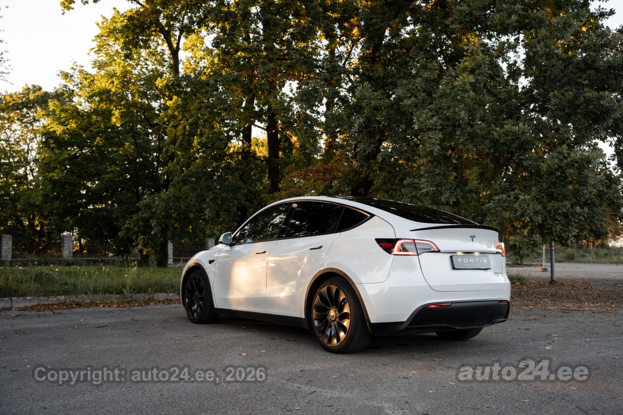 Tesla Model Y - 4