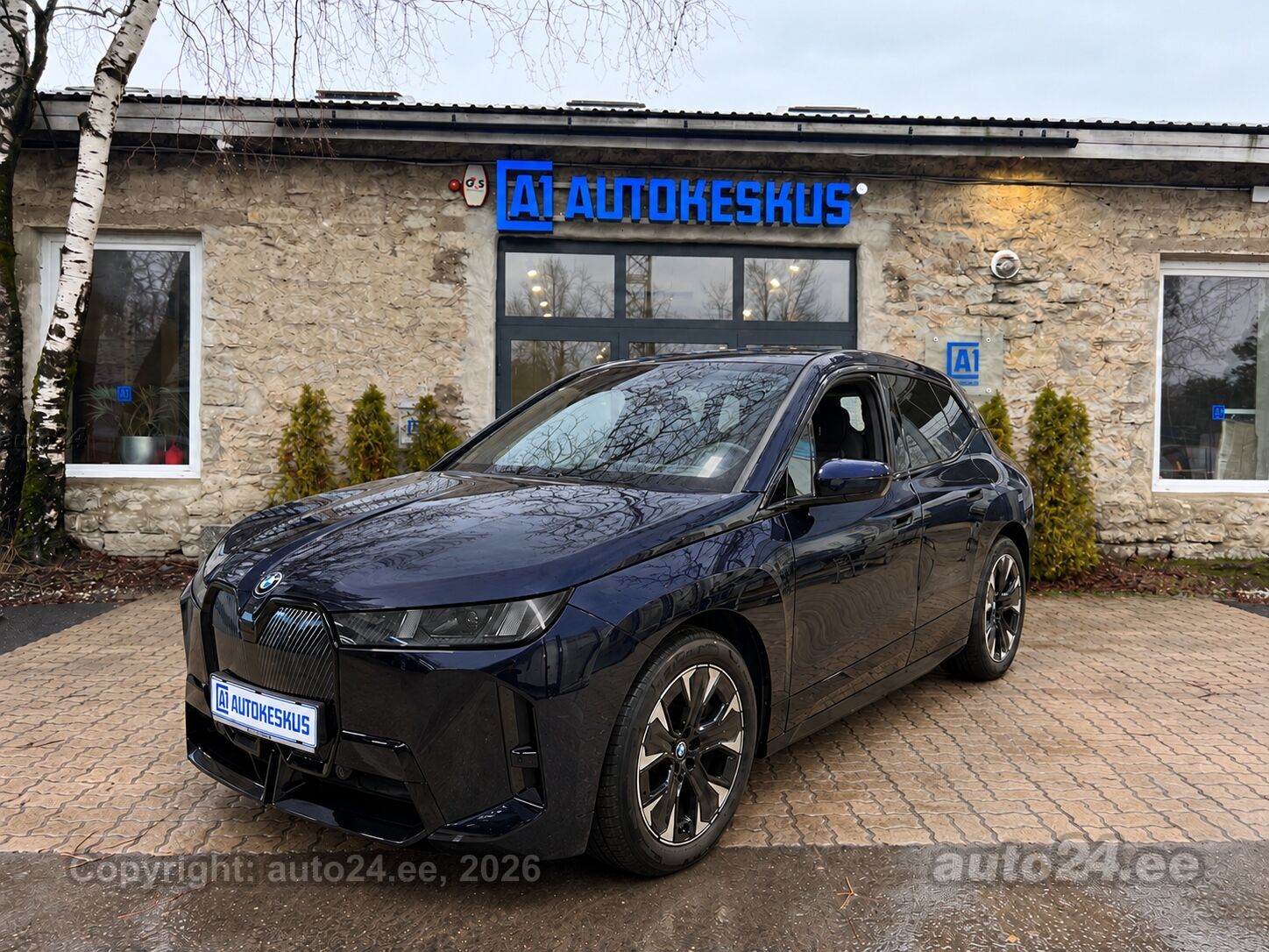 BMW iX