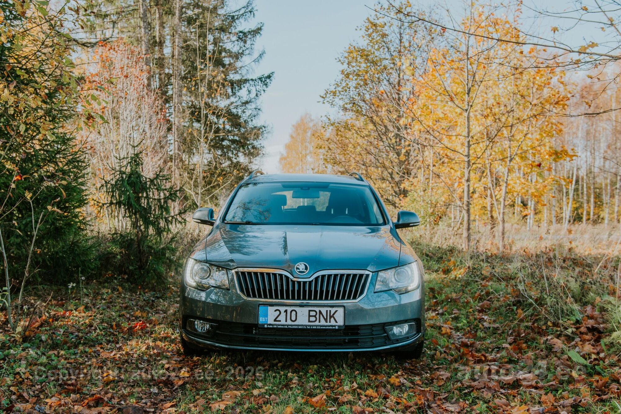 Skoda Superb 2015 — interior