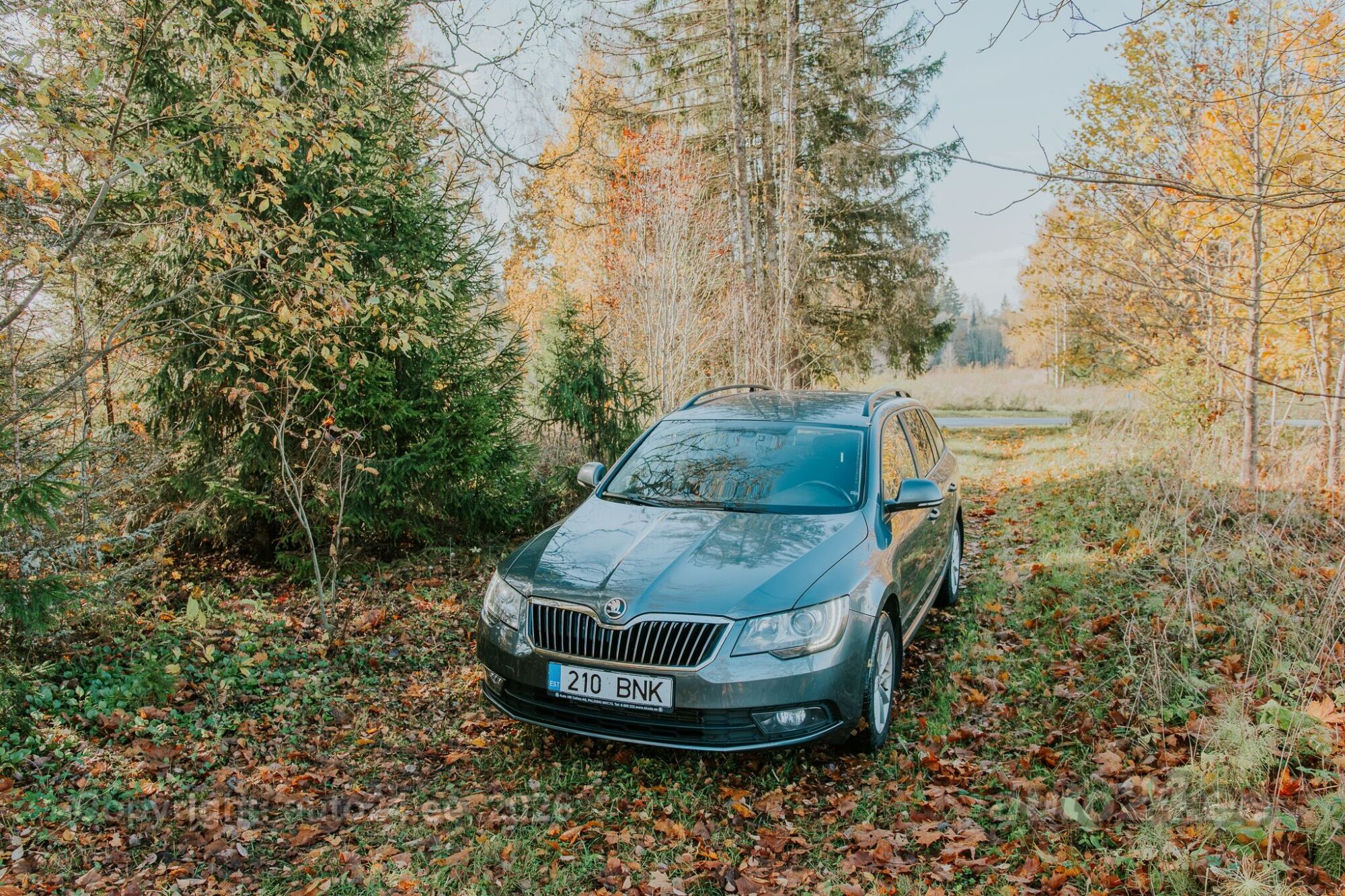 Skoda Superb 2015 — rear view