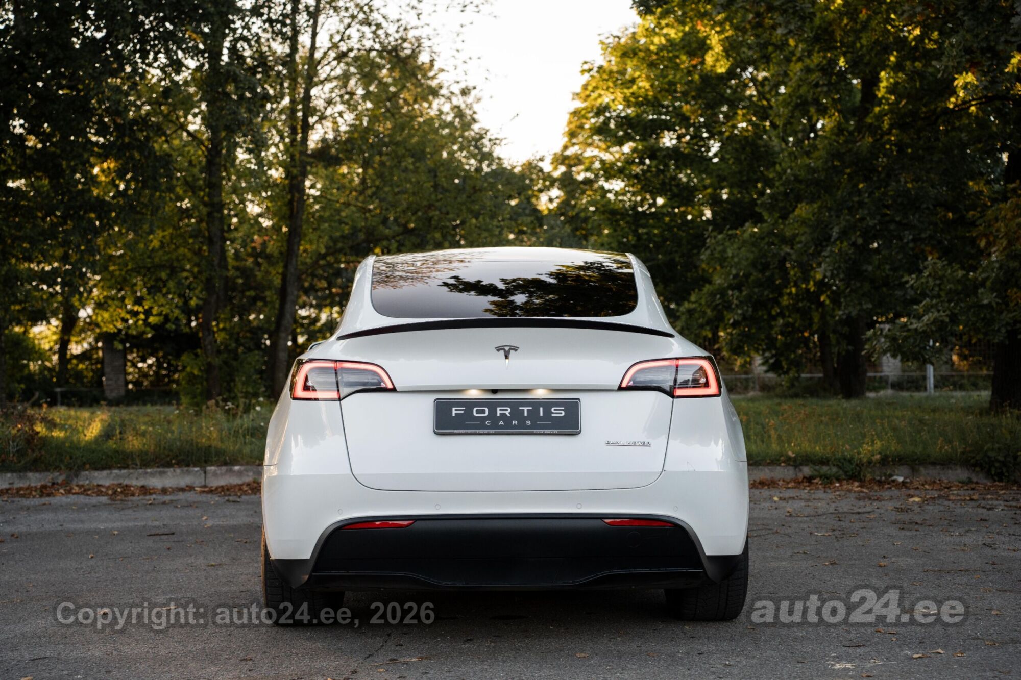Tesla Model Y - 8