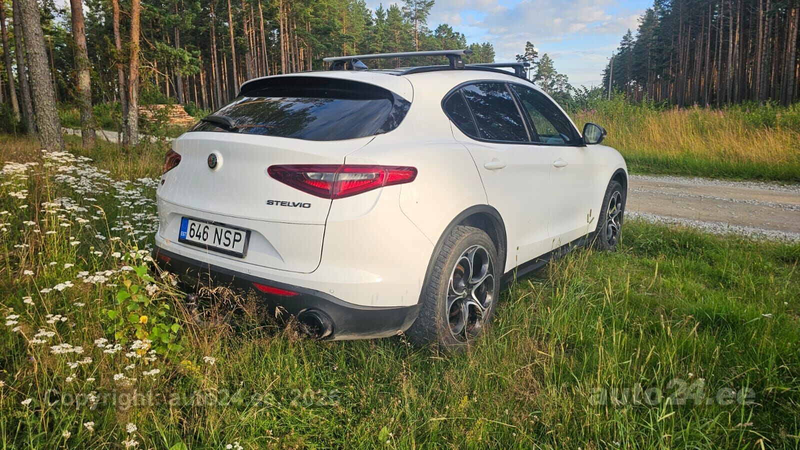 Alfa Romeo Stelvio 2.1 154kW 2019, photo 7/10