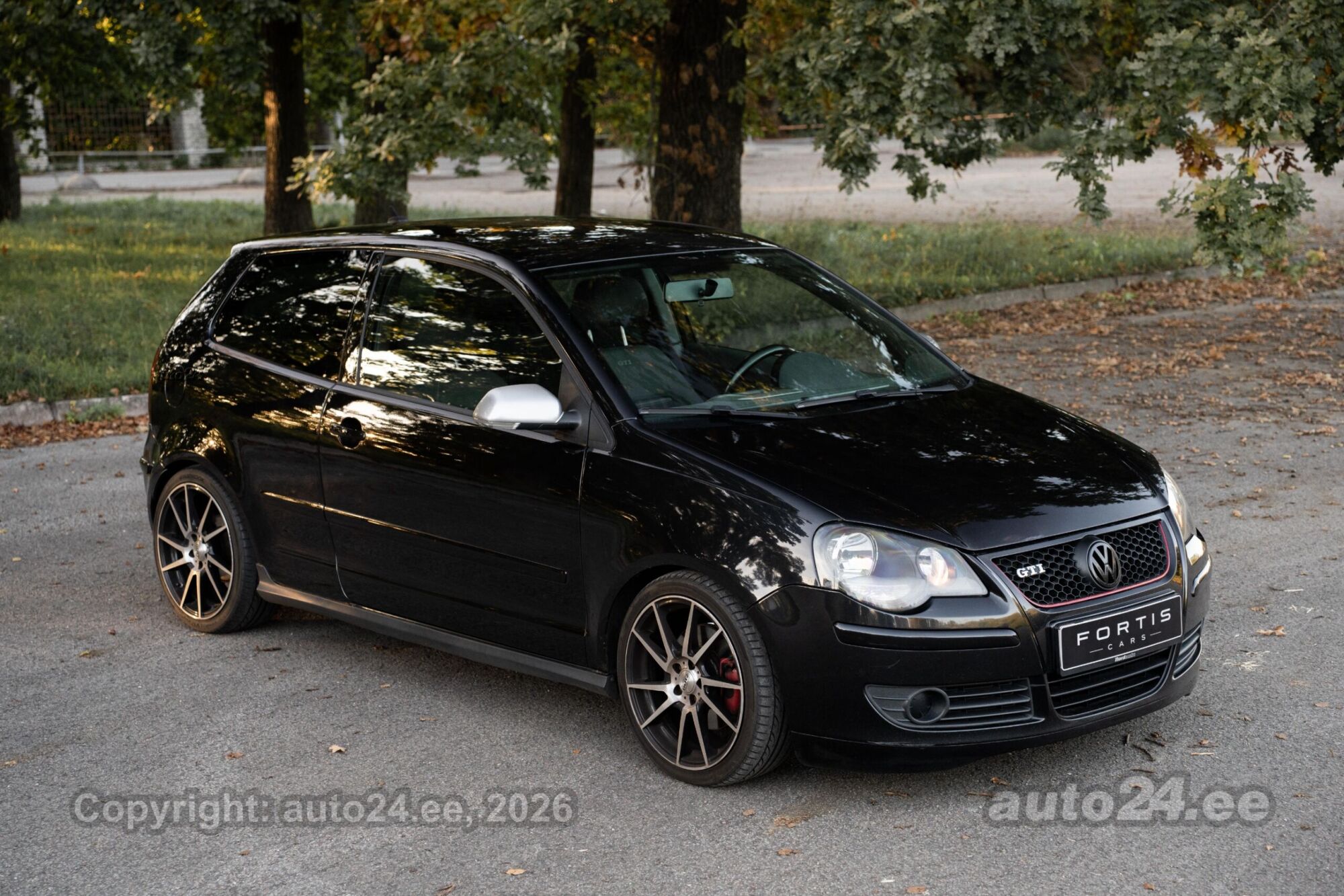 Volkswagen Polo - 2