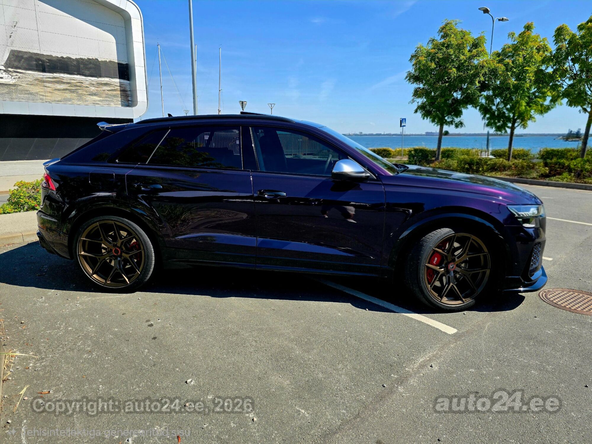 Audi RS Q8 4.0 441kW 2022, photo 4/10