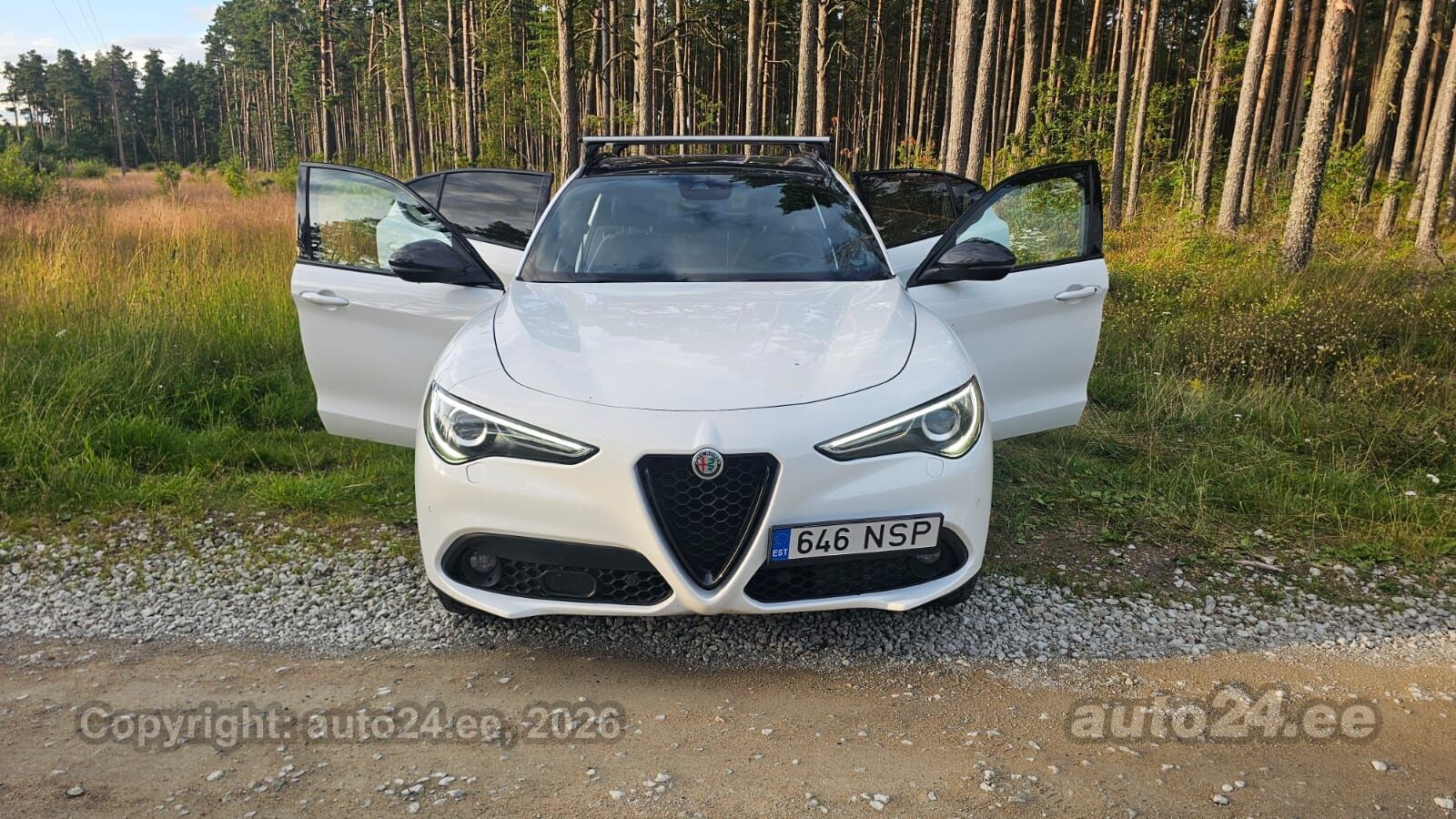 Alfa Romeo Stelvio 2.1 154kW 2019, photo 6/10