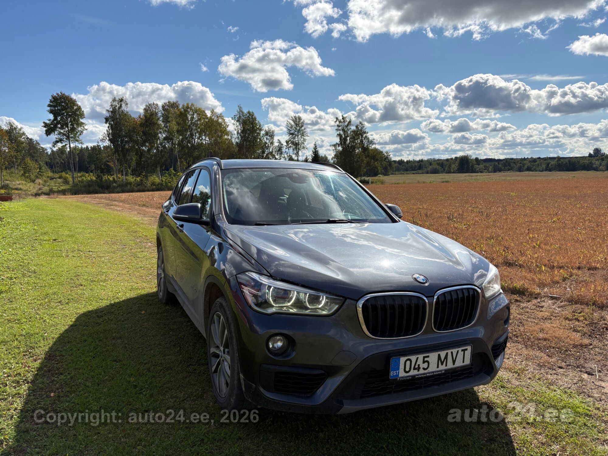 BMW X1 - 1