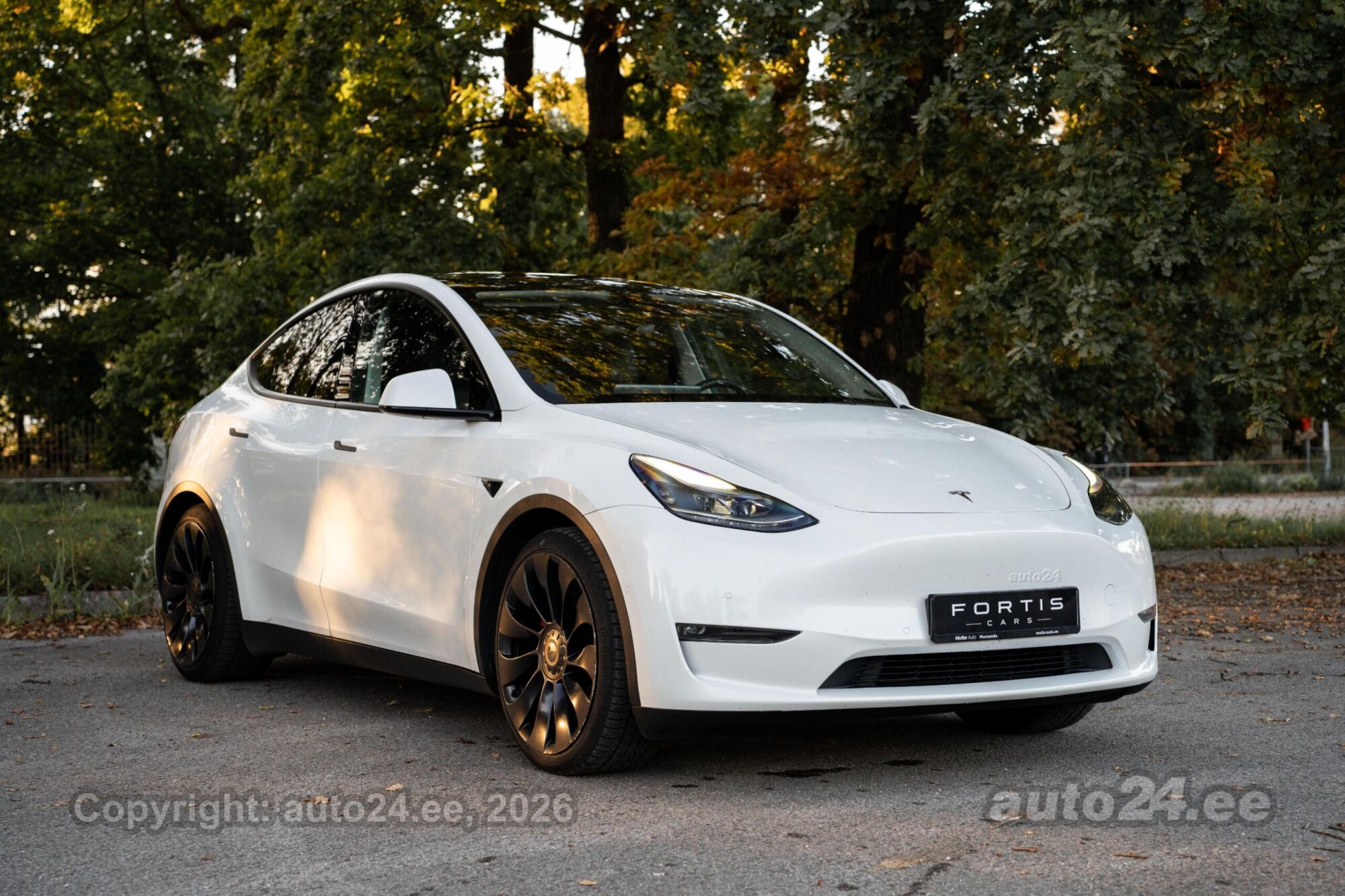Tesla Model Y - 1