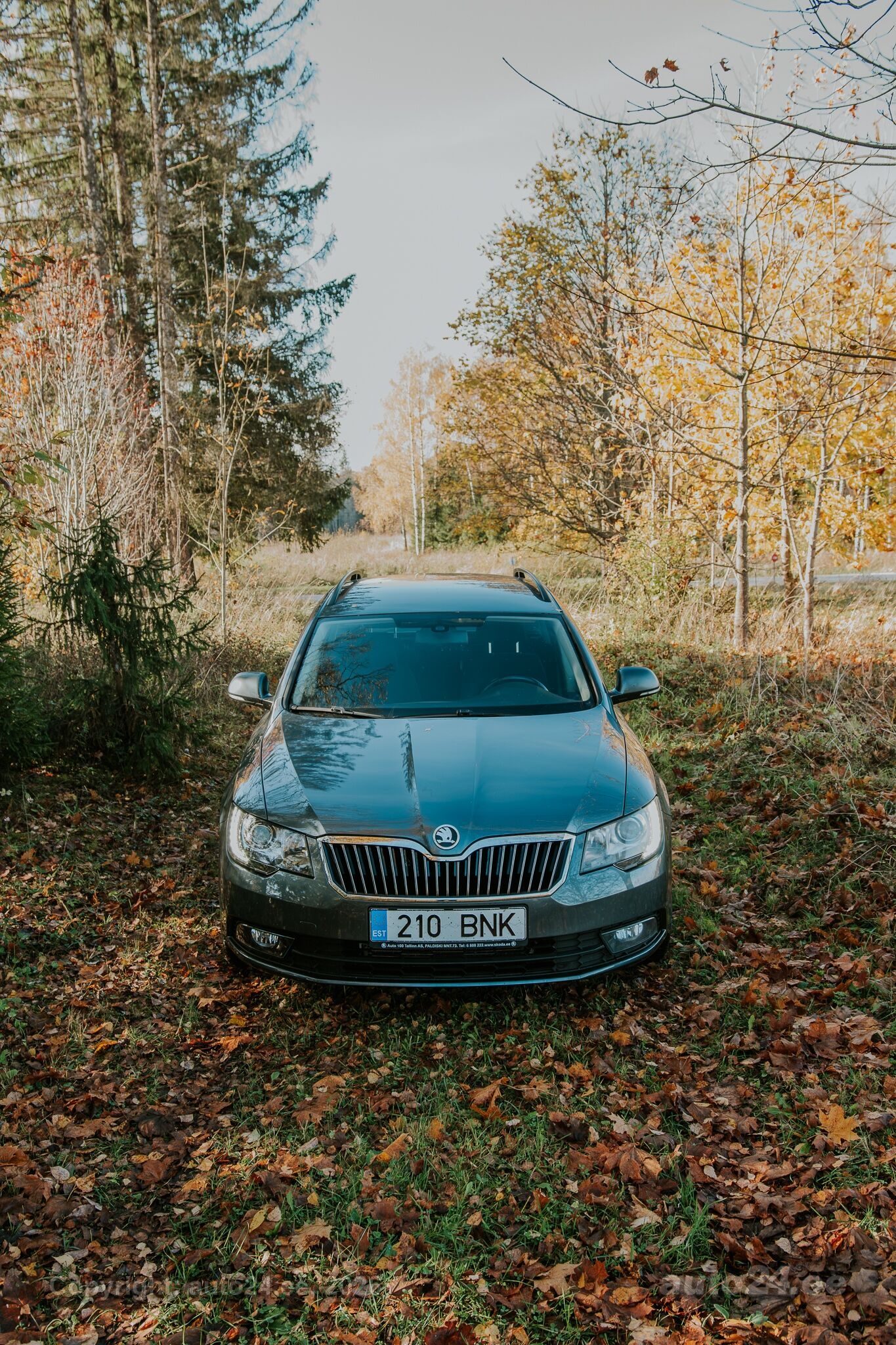 Skoda Superb, 2015