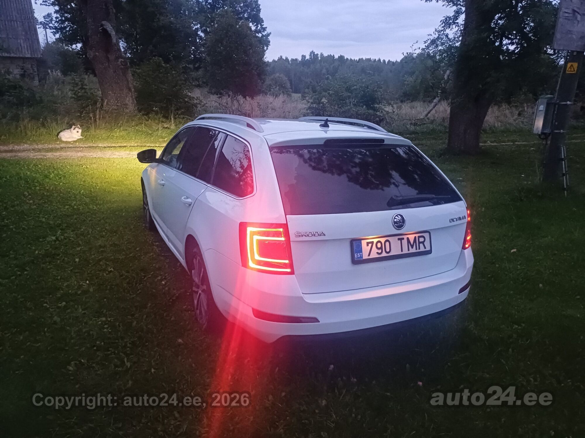 Škoda Octavia - 8