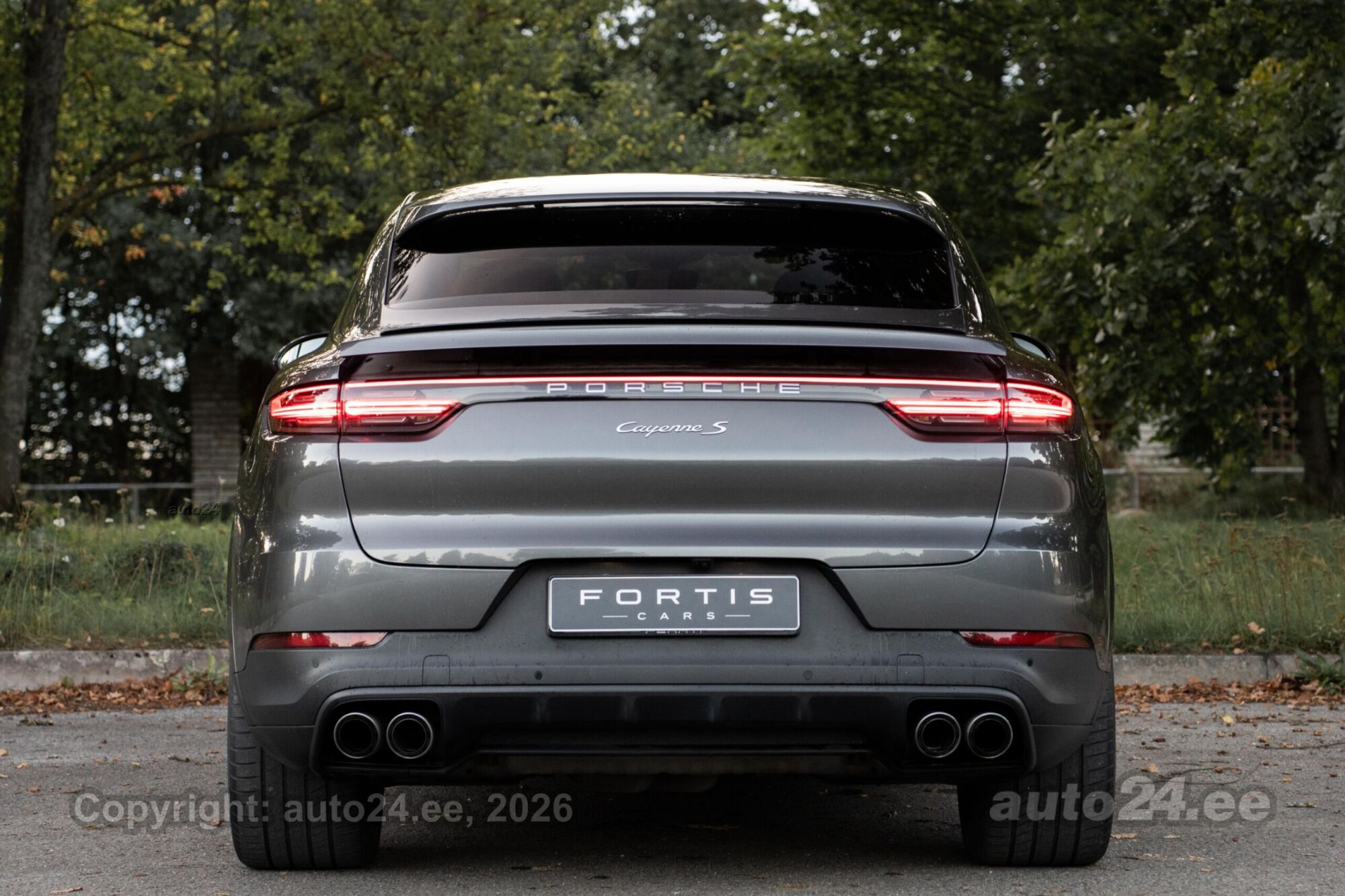 Porsche Cayenne - 7