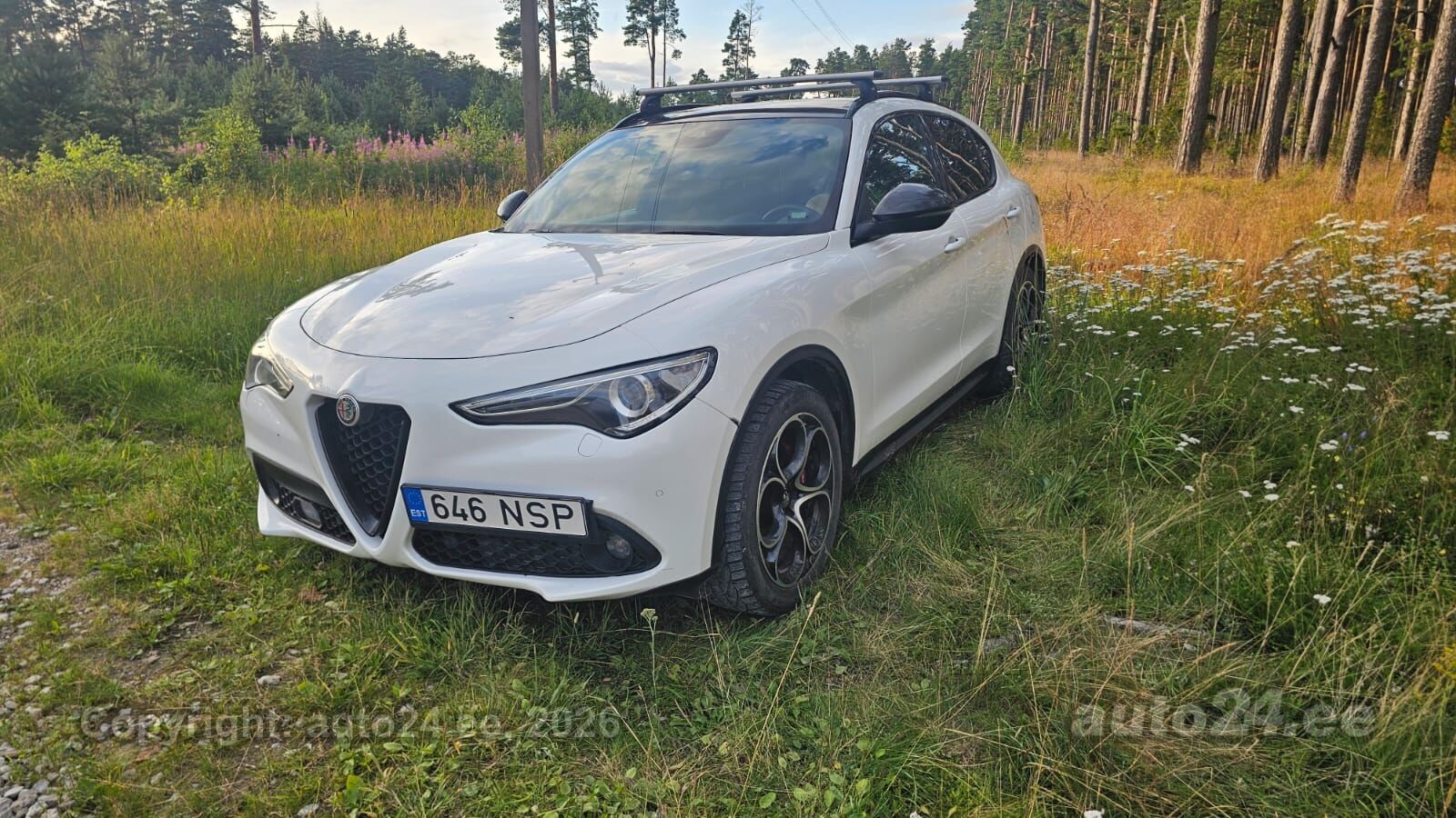Alfa Romeo Stelvio 2.1 154kW 2019, photo 2/10