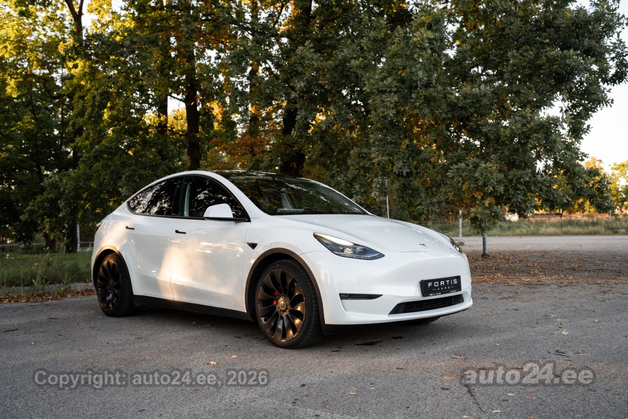 Tesla Model Y - 2