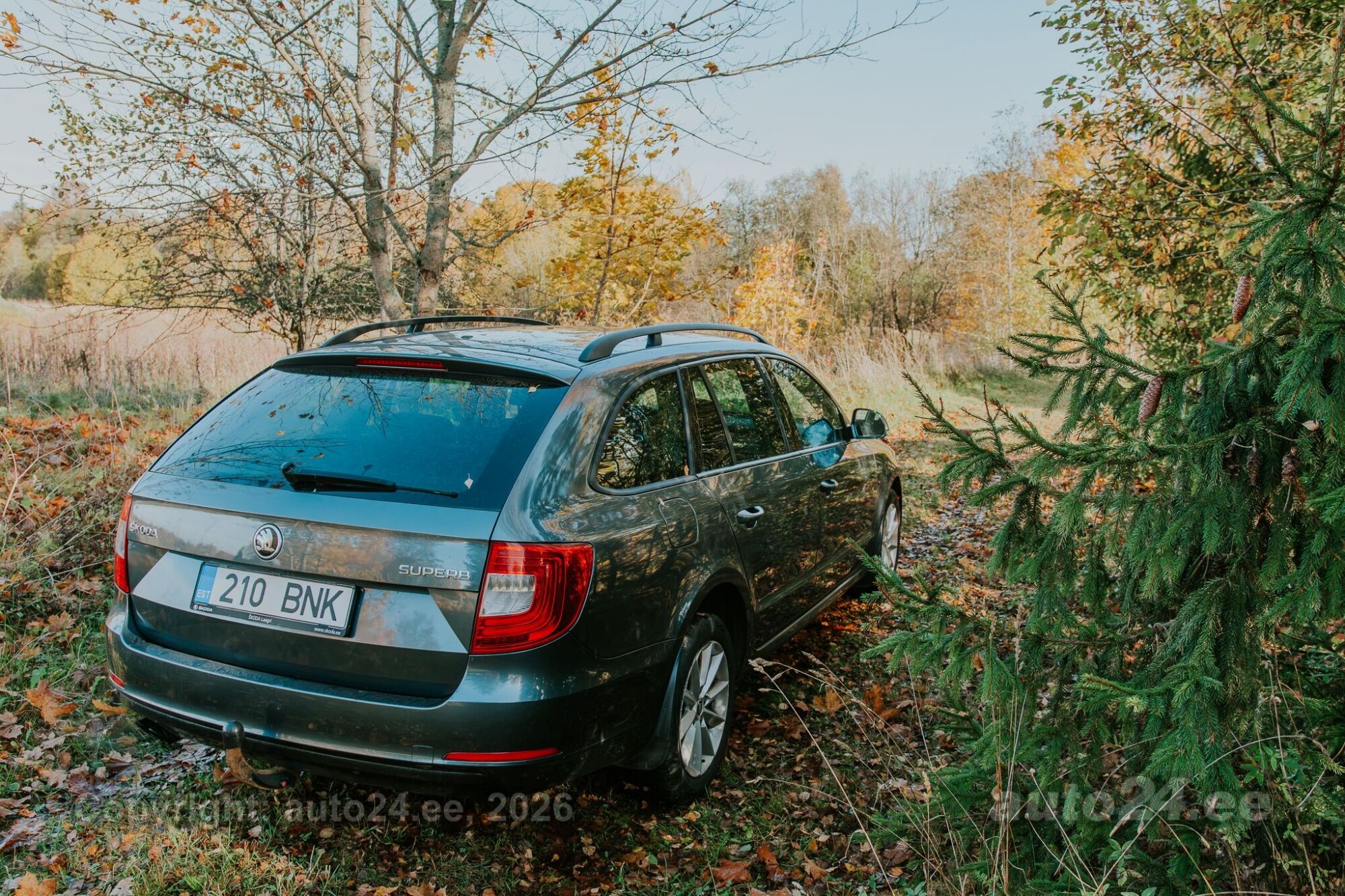 Skoda Superb 2015 — photo 6
