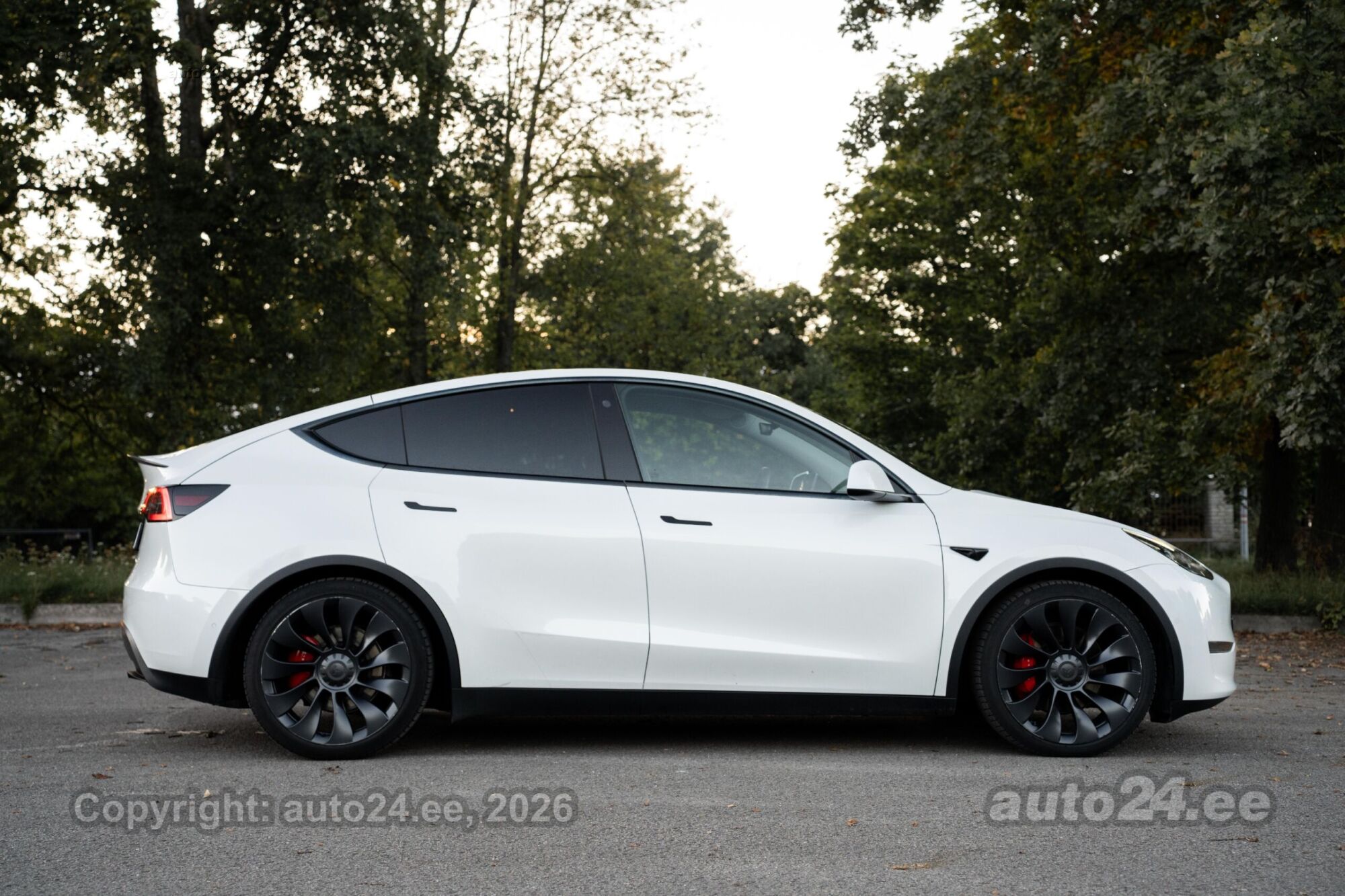 Tesla Model Y - 7