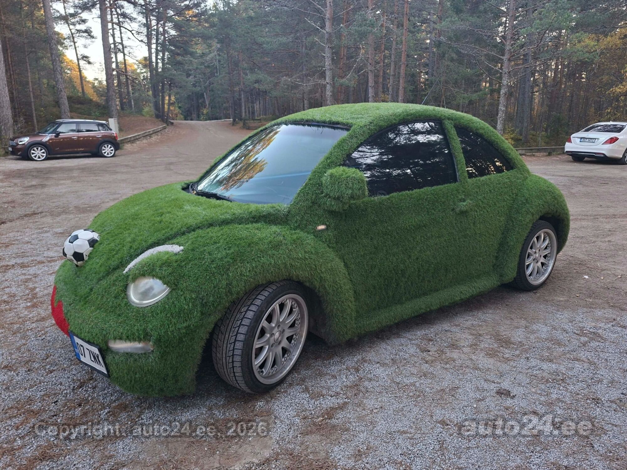 Volkswagen New Beetle