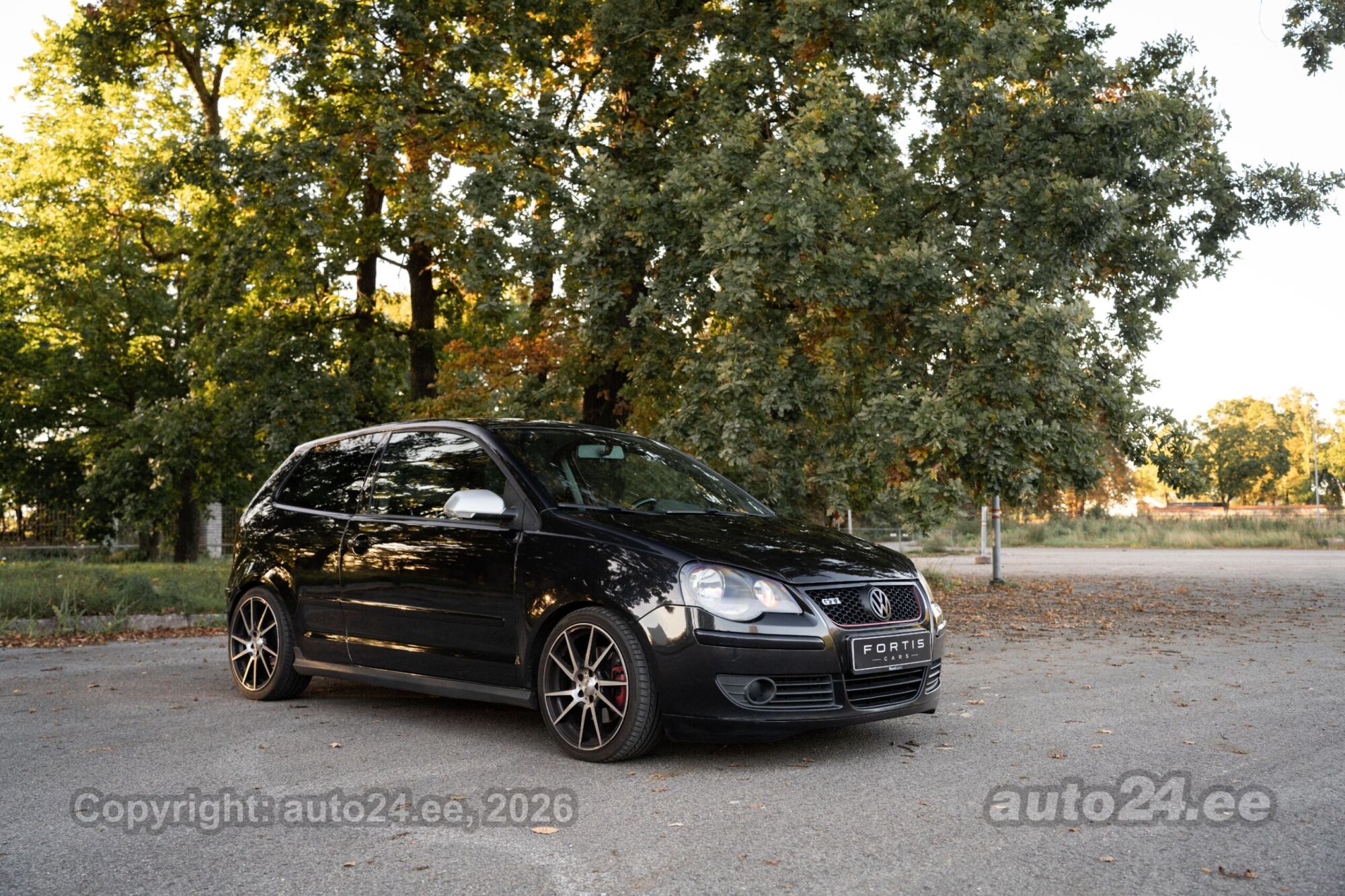 Volkswagen Polo - 5