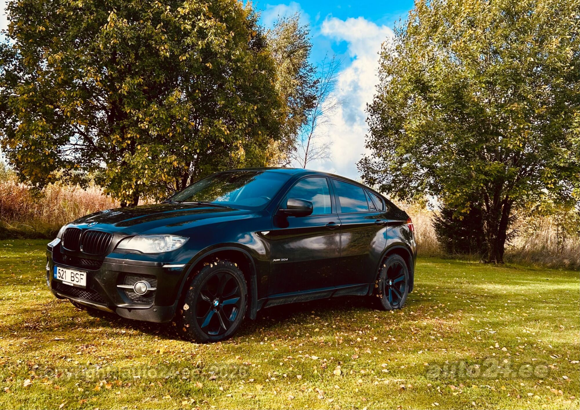 BMW X6 - 1