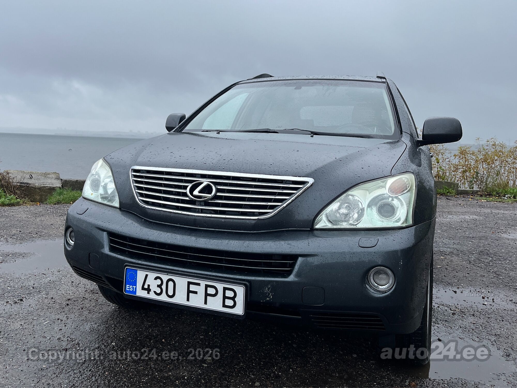 Lexus RX 2005 — rear view