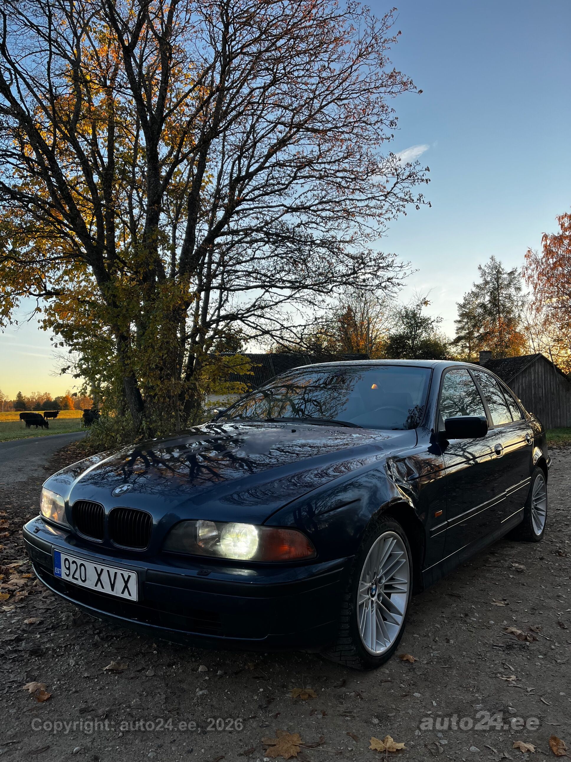 BMW 5 seeria
