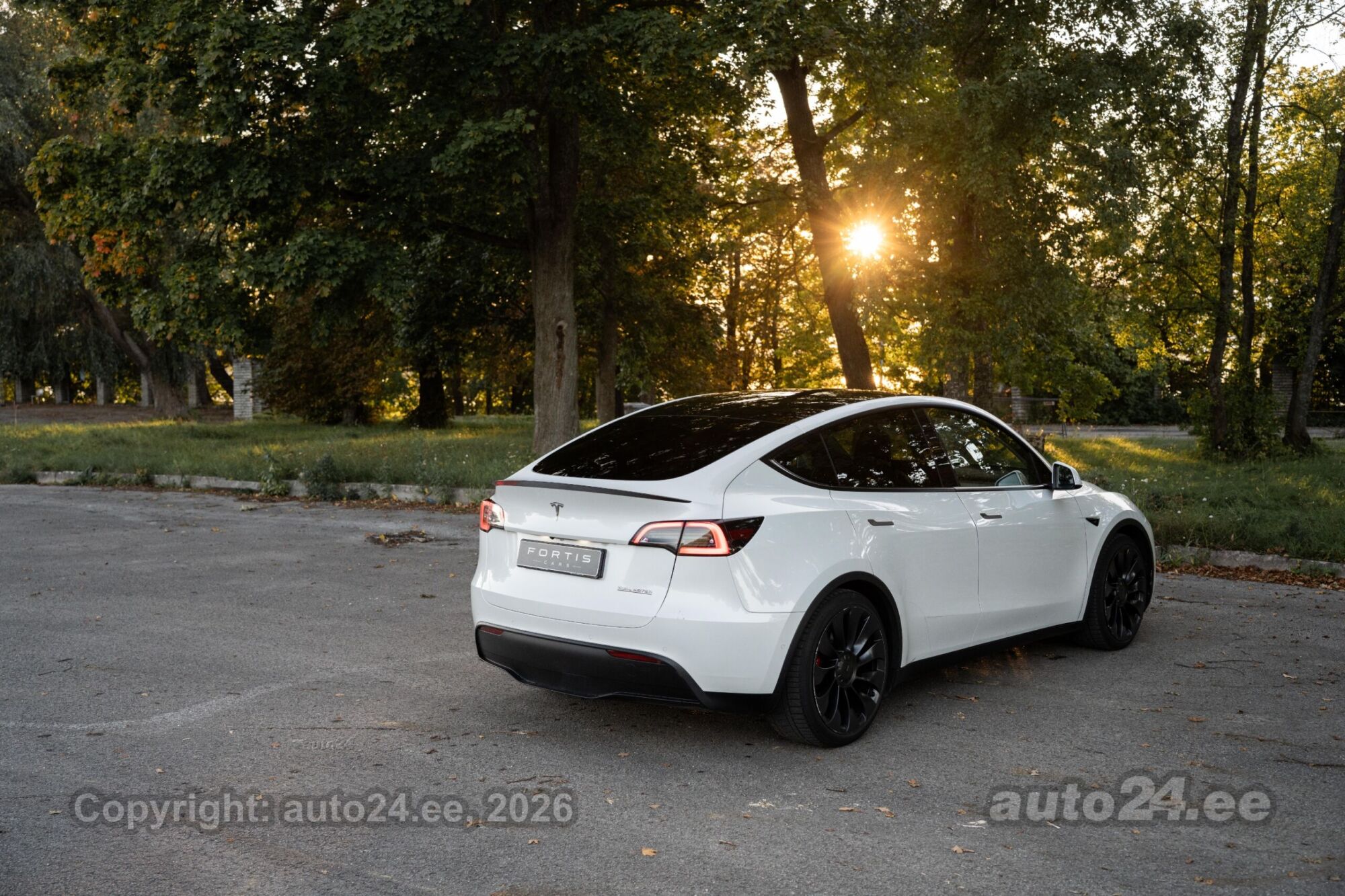 Tesla Model Y - 5