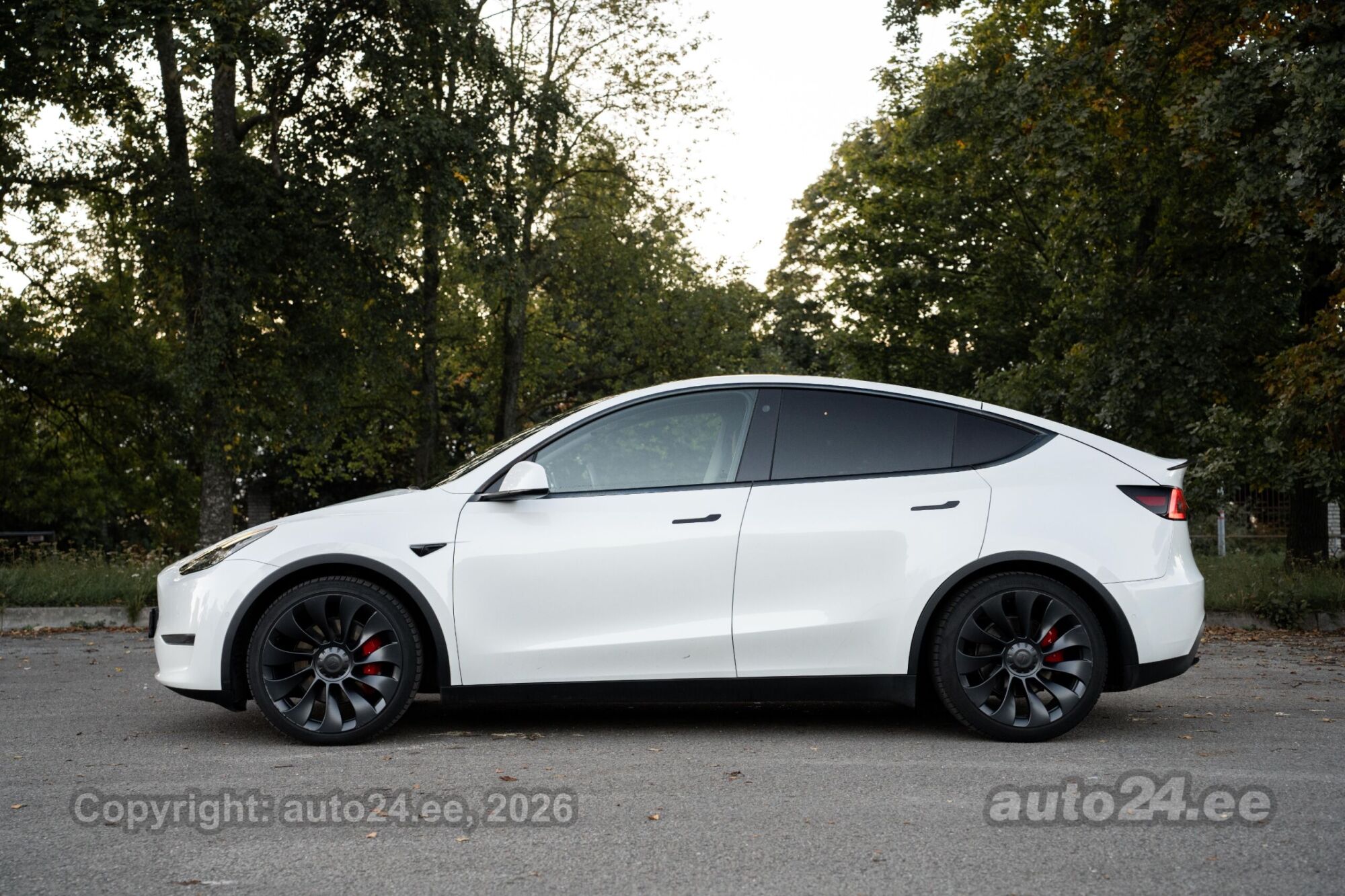 Tesla Model Y - 6