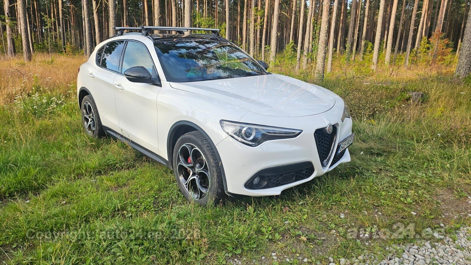 Alfa Romeo Stelvio 2.1 154kW 2019, photo 3/10
