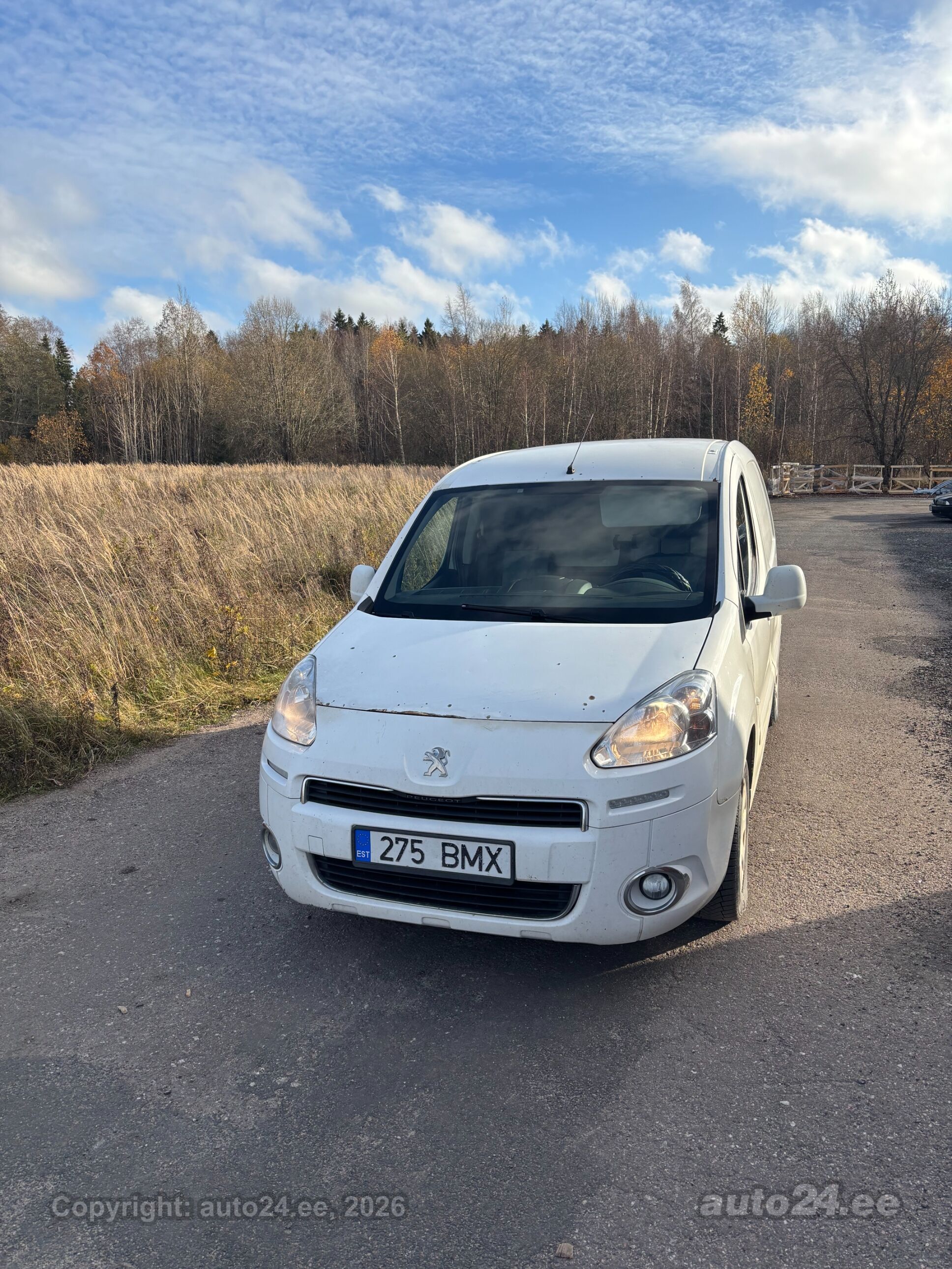 Peugeot Partner 2014 — rear view