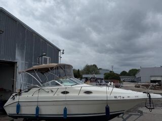 Sea Ray 250 SUNDANCER 2014