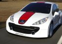 Peugeot toob Genfi kontseptsiooniauto 207 RCup