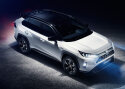 Toyotale oli 2019 Baltimaades rekordiaasta
