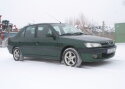 Head peremeest nõudev lõvikutsikas – Peugeot 306