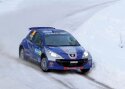 Monte Carlos kolmikvõidu võtnud Peugeot 207 homme Anstla rallil