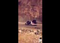 VIDEO: Mercedes-Benz S63 AMG põletati efektse video nimel
