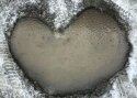 Eesti uhkeim teeauk on Jeti jäähalli ees