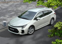 Paistab nagu Toyota Corolla, aga firmamärk on Suzukilt!?