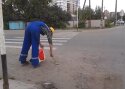 VIDEO: Usin kojamees