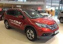Veho Eesti ennustab autoturule väikest tõusu