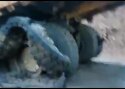 VIDEO: Välk purustas kalluri rehvid