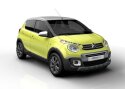 PARIIS 2014: Citroen proovib õnne linnadžunglis