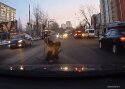 VIDEO: Pardakaamera vaatevälja jäävad ka heateod