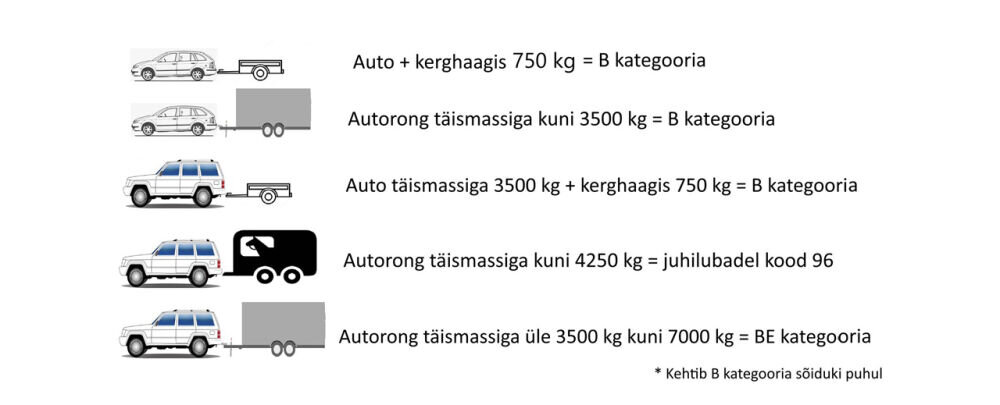 Haagise kasutamise meelespea