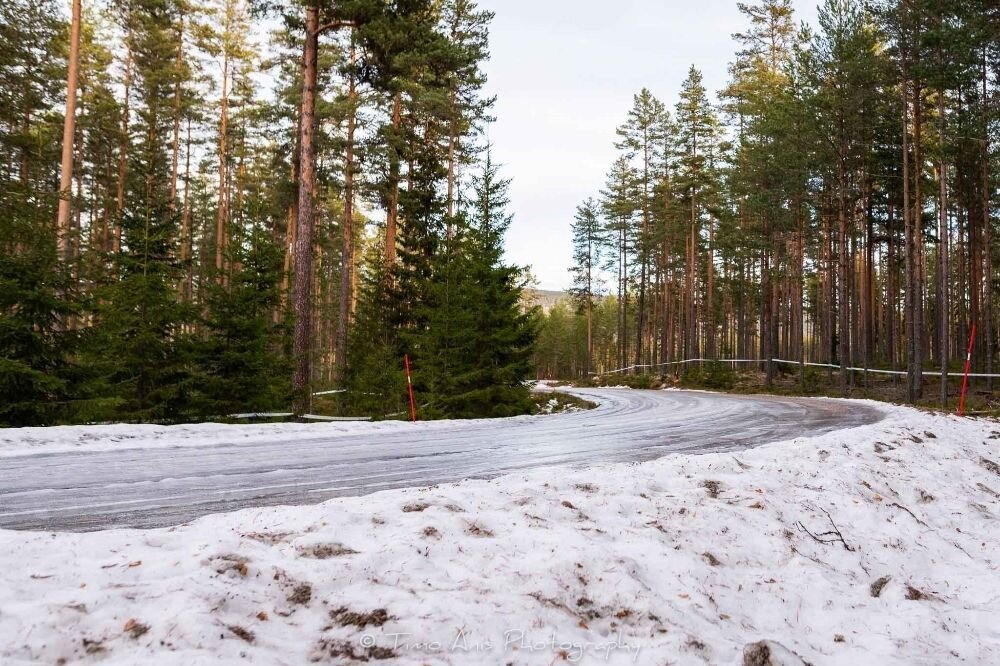 Ralli: Rootsi ralli avakatse jääb ära